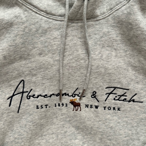 Abercrombie & Fitch hoodie - Picture 2 of 8